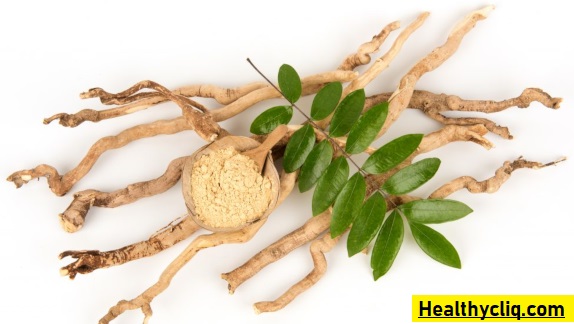 tongkat-ali-uses-health-benefits-and-side-effects-healthycliq