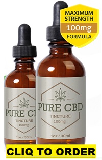 Pure Cbd Tincture